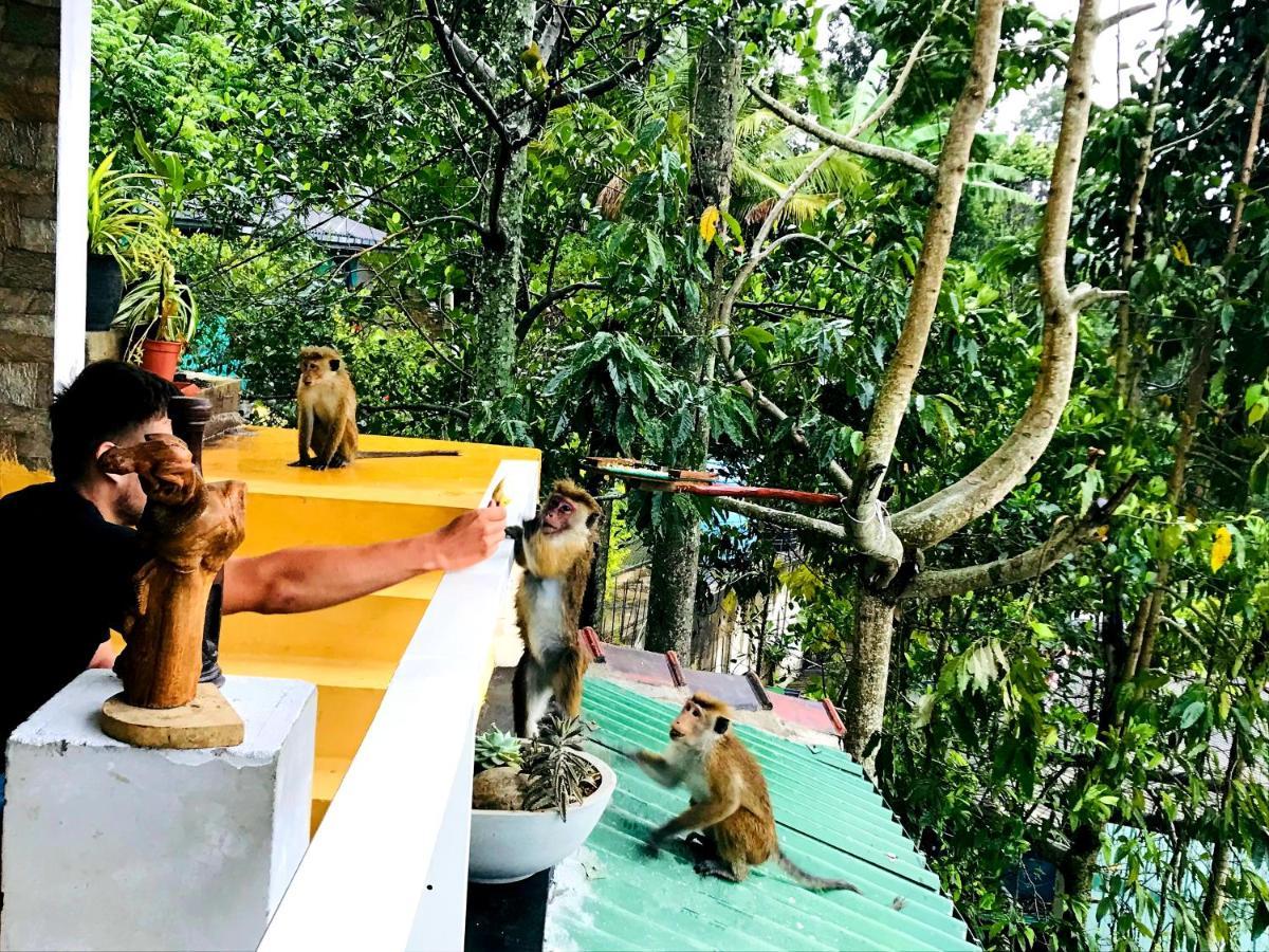Ella Hide View Hotel Luaran gambar